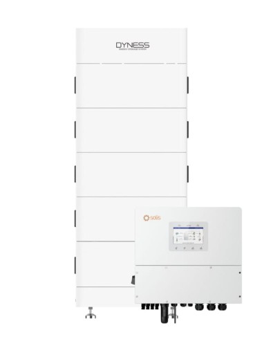Energiespeicher-Set Dyness Tower T21 + Solis S6 15K
